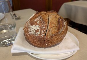 20250220_PXL125449341_Pixel7a-JEB